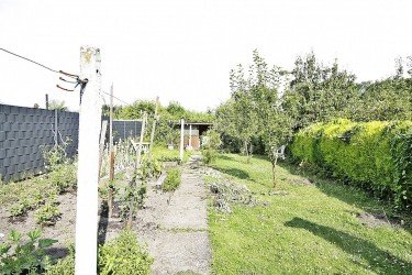 Hauptbild Sanierungsbed�rftiges Haus mit gro�em Grundst�ck